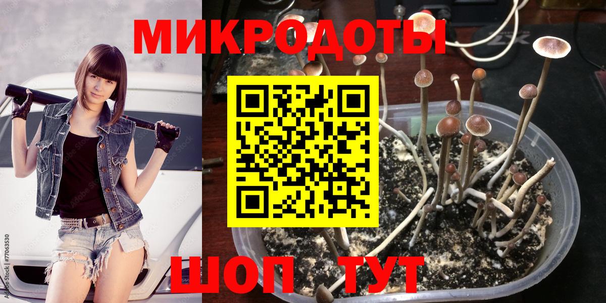 как найти   Псилоцибиновые грибы мухоморы  Галлюциногенные грибы мухоморы  Вход с VPN  Елабуга 